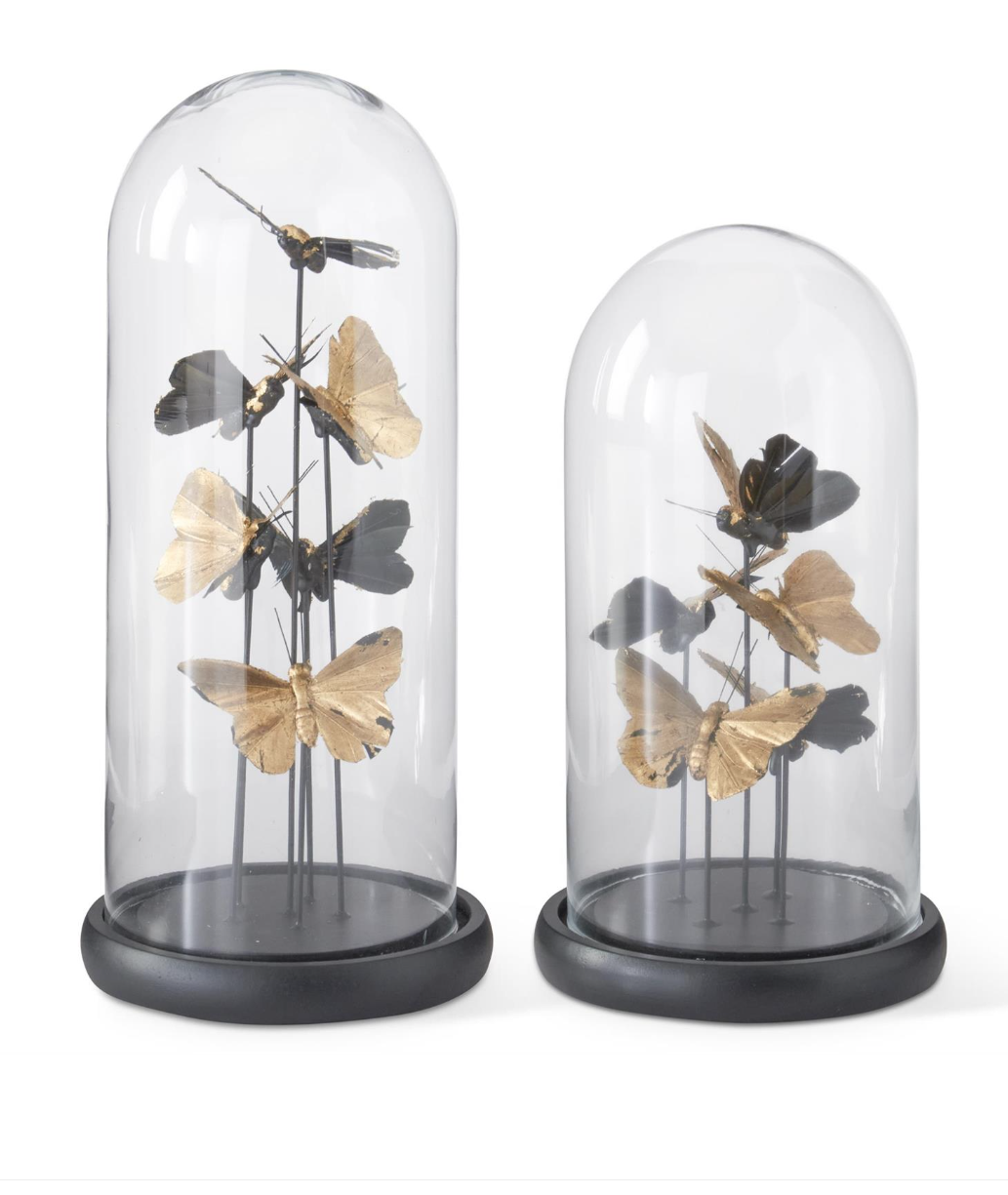 19677A-1 10.25" Glass Cloche w/ Gold Butterflies