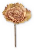 42217A-BE 12" Beige & Green Ornamental Cabbage Pick