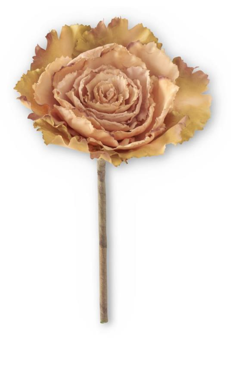 42217A-BE 12" Beige & Green Ornamental Cabbage Pick