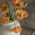 2869 27" Orange Poppy Spray