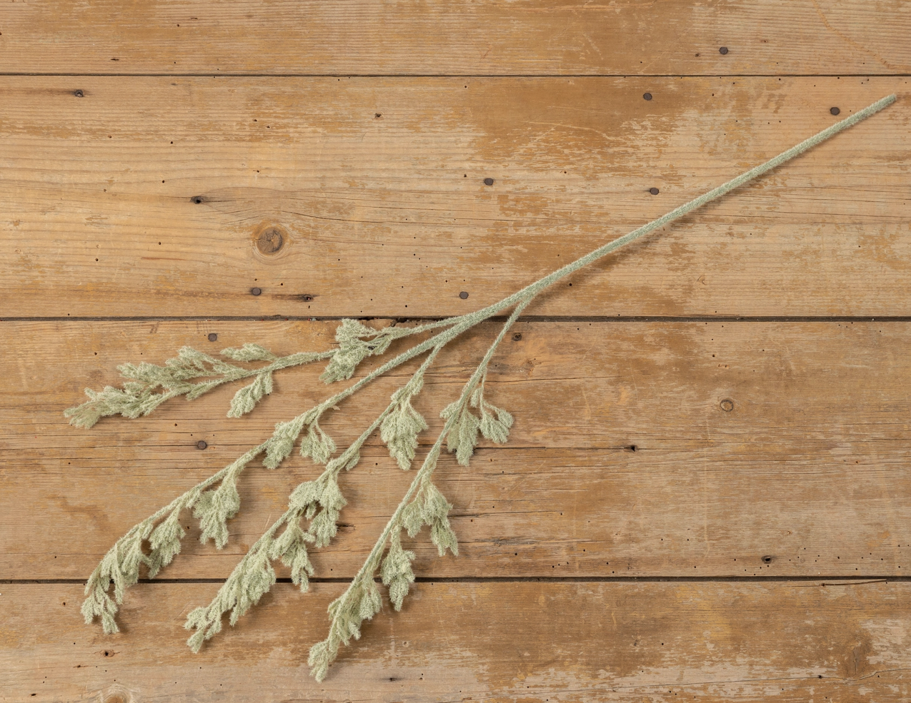 5260 34.5" Light Green Branch