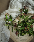 8867 21.75" Burgundy Berry Spray