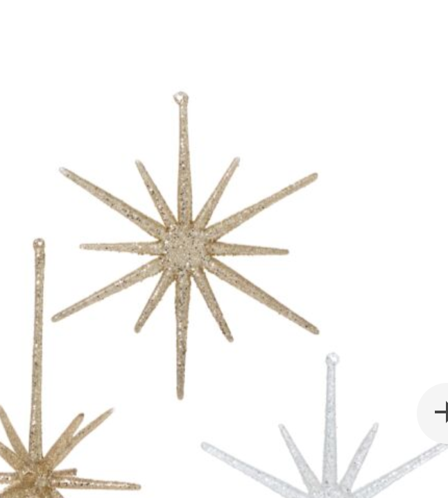 17905.4 Glistening Star Ornament