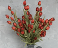 G228865 23" Burgundy Chinese Lantern Bush