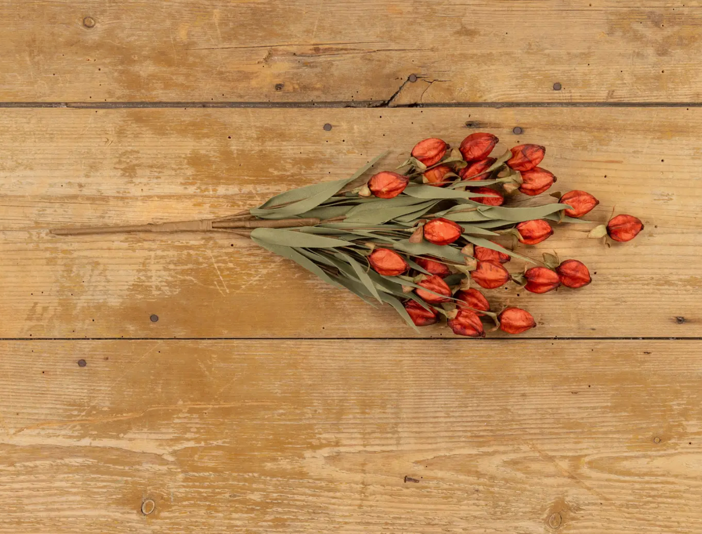 G228865 23" Burgundy Chinese Lantern Bush