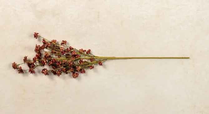 G233382 30" Maroon Mini Daisy Spray