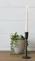 8R7774-S Candle Holders - Black Iron