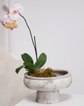 98156.75 Garance Footed Bowl