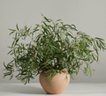 95911.25 Kastanos Vase