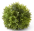 10103A  6" Podocarpu Ball