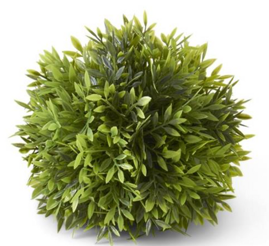 10103A  6" Podocarpu Ball