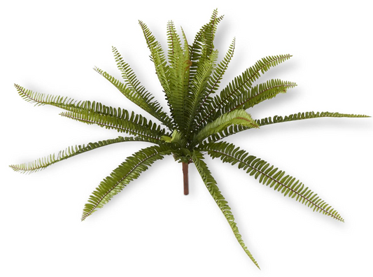 18395A 26" Fern bush