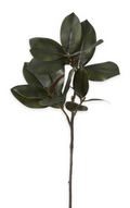 19351A 33" Burgundy & Green Magnolia Branch