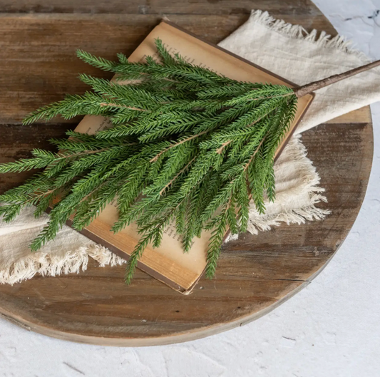 G2332156 12" Soft Touch Norfolk Pine Pick