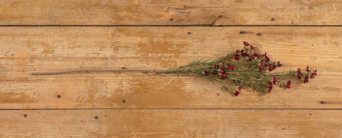 OR224644 29" BURGUNDY WAXFLOWER SPRAY
