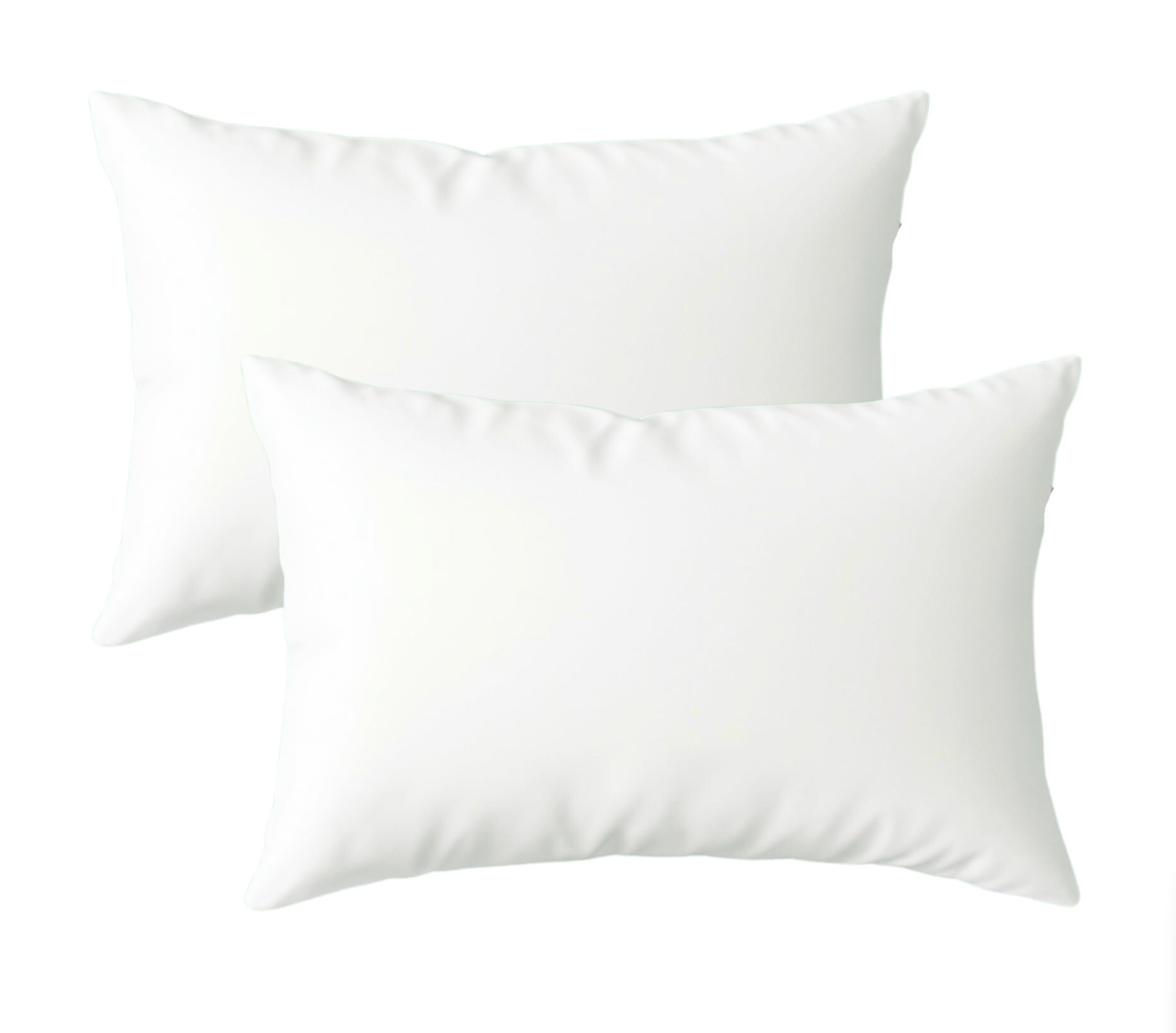 FILLER-KING-SHAM-INSERT Feather and Down Insert, King