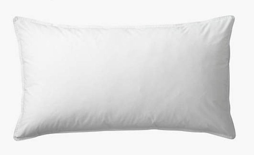 FILLER-KING-SHAM-INSERT Feather and Down Insert, King