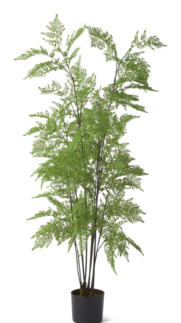 19080B 5' Potted Fern Tree
