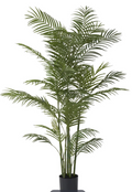 19070B 5' Potted Palm Tree w/ Faux Dirt