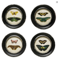 DF4073A Framed Wall Décor Moths