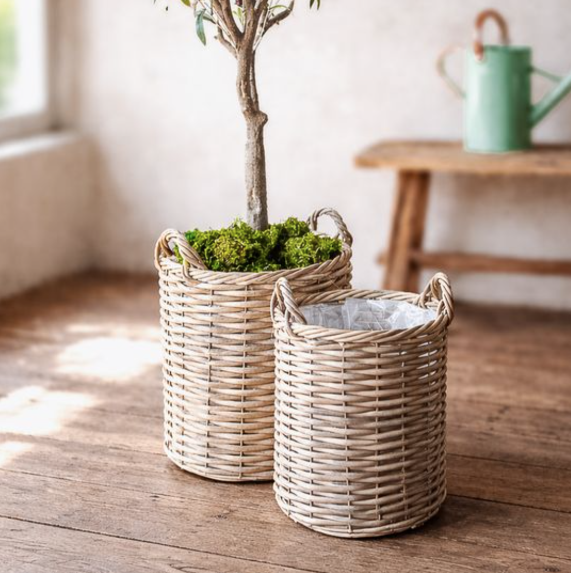 PDAX02-S Small Poly Rattan Tall Basket