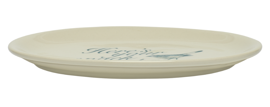 FEST-PLS-TRSD "Here's Your Snack Dumbass" Tray