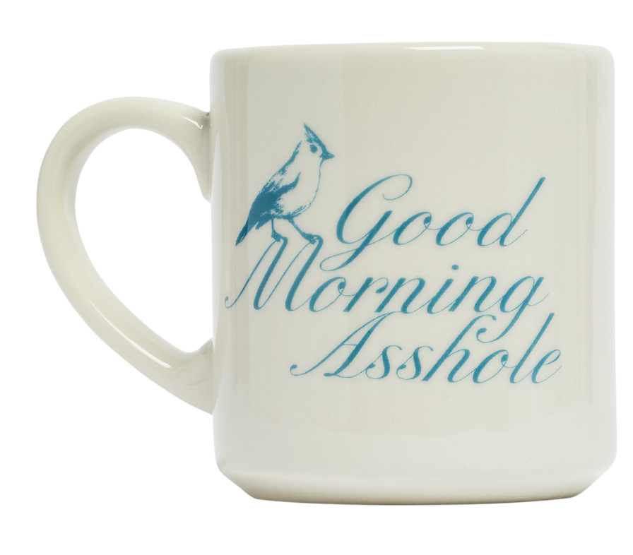 FEST-PLS-MUGM 10oz "Good Morning Asshole" Mug