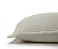 ADNT22429CR002020 20X20 PILLOW