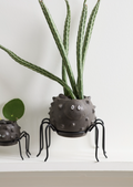 5481655 Silly Spider Pot 4"x3"