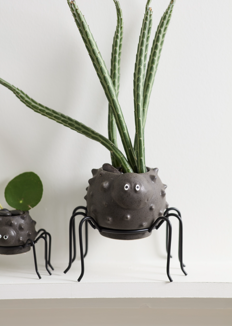 5481655 Silly Spider Pot 4"x3"