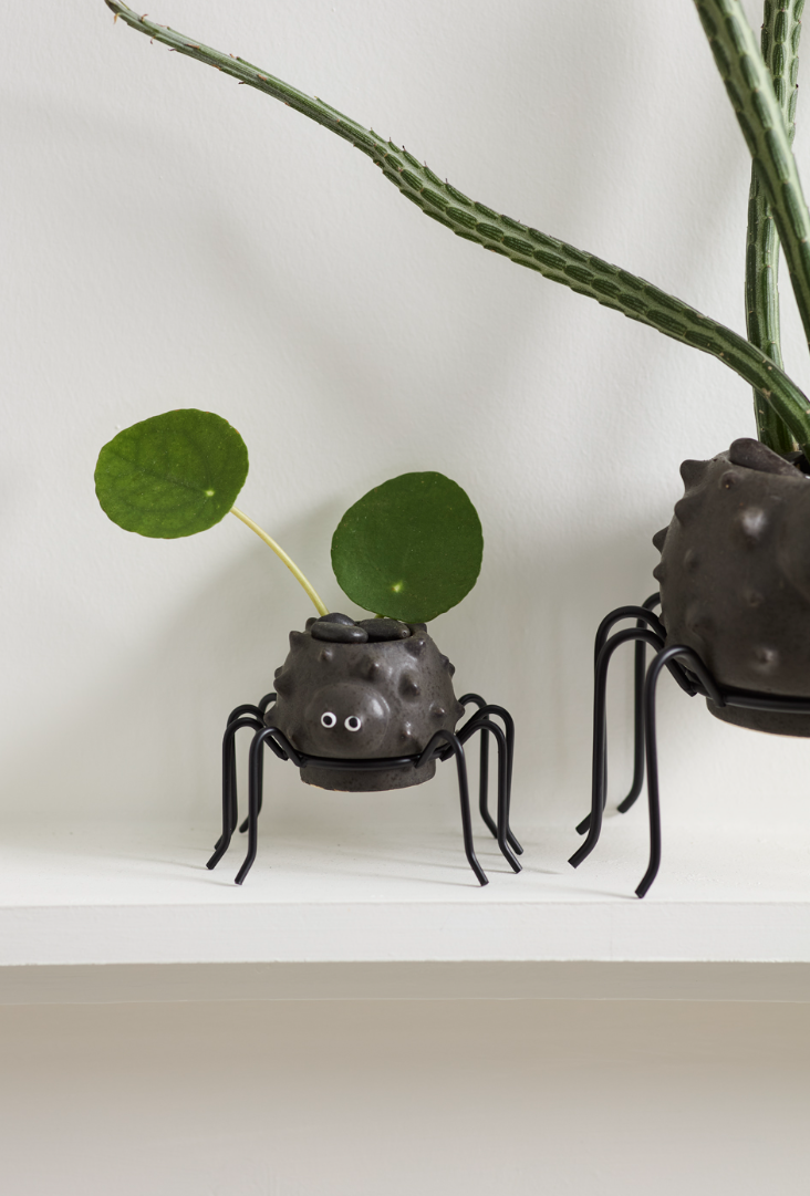 Silly Spider Pot 2.5"x1.5"