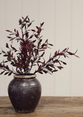 01-8489 18" Willow Leaf Spray Plum