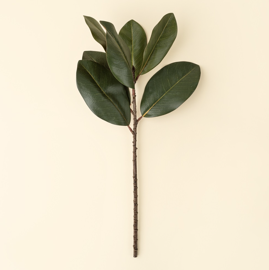 01-8463 22" Magnolia Leaf Branch