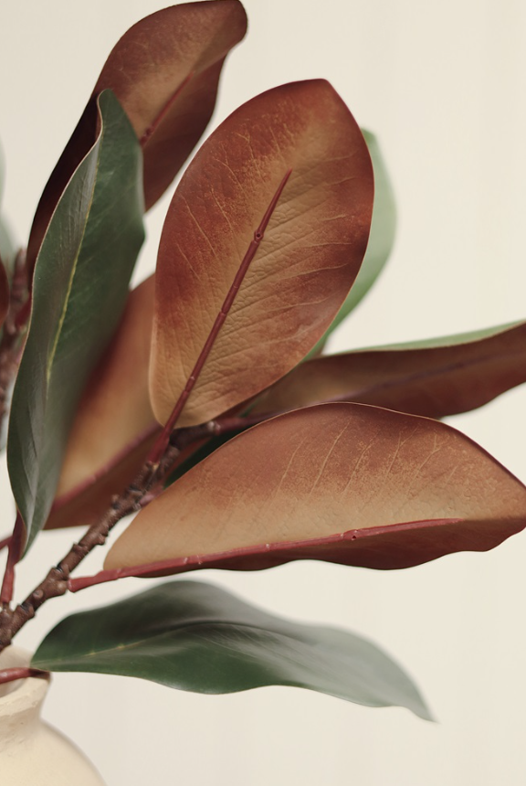 01-8463 22" Magnolia Leaf Branch