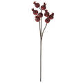 55945A 28.75" Burgandy Pomegranate Stem