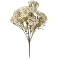 42791A 17" White Queen Anne Lace Bush