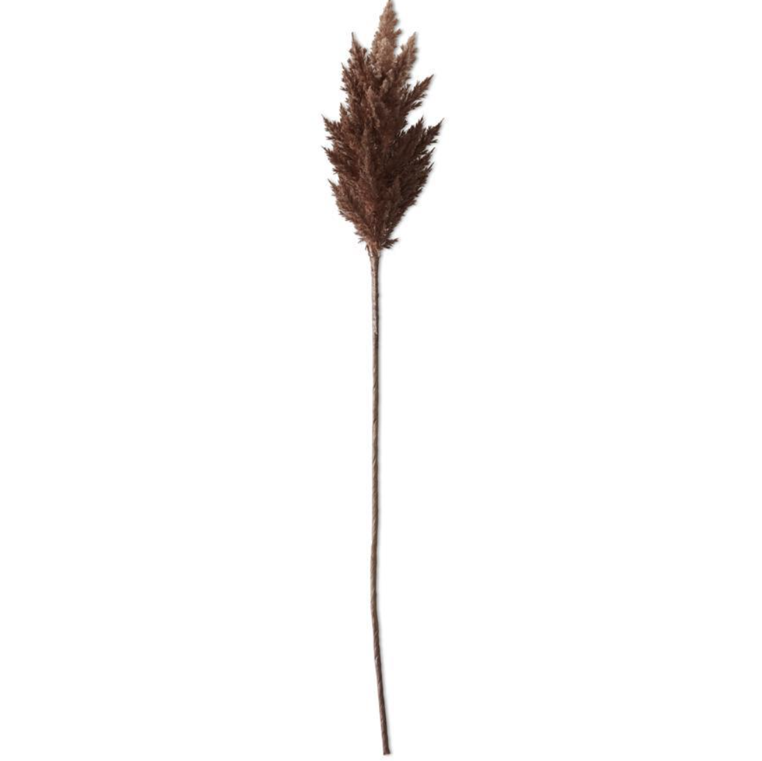 42127A 35" Flocked Brown Pampas Grass Branch