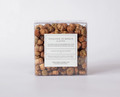 Putka Pods Toasted Pumpkin Latte