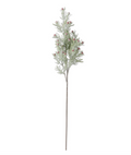32.5" Rosemary Stem w/ Red Berries