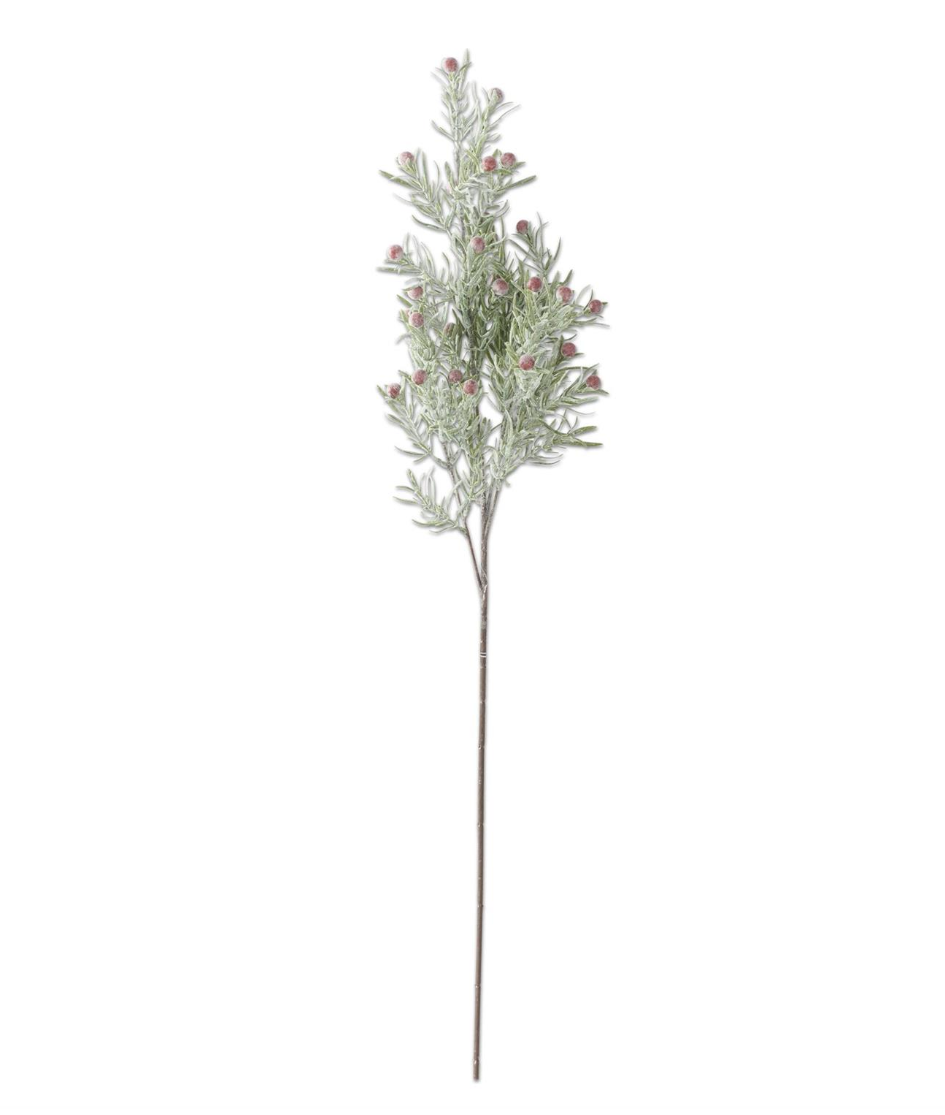 32.5" Rosemary Stem w/ Red Berries
