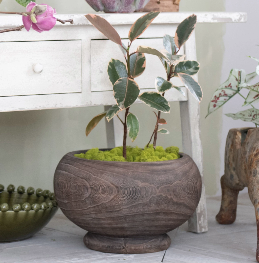 AH3509 Paulownia Wood Planter