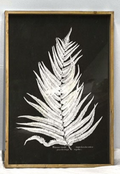 Fern Wood Wall Art,