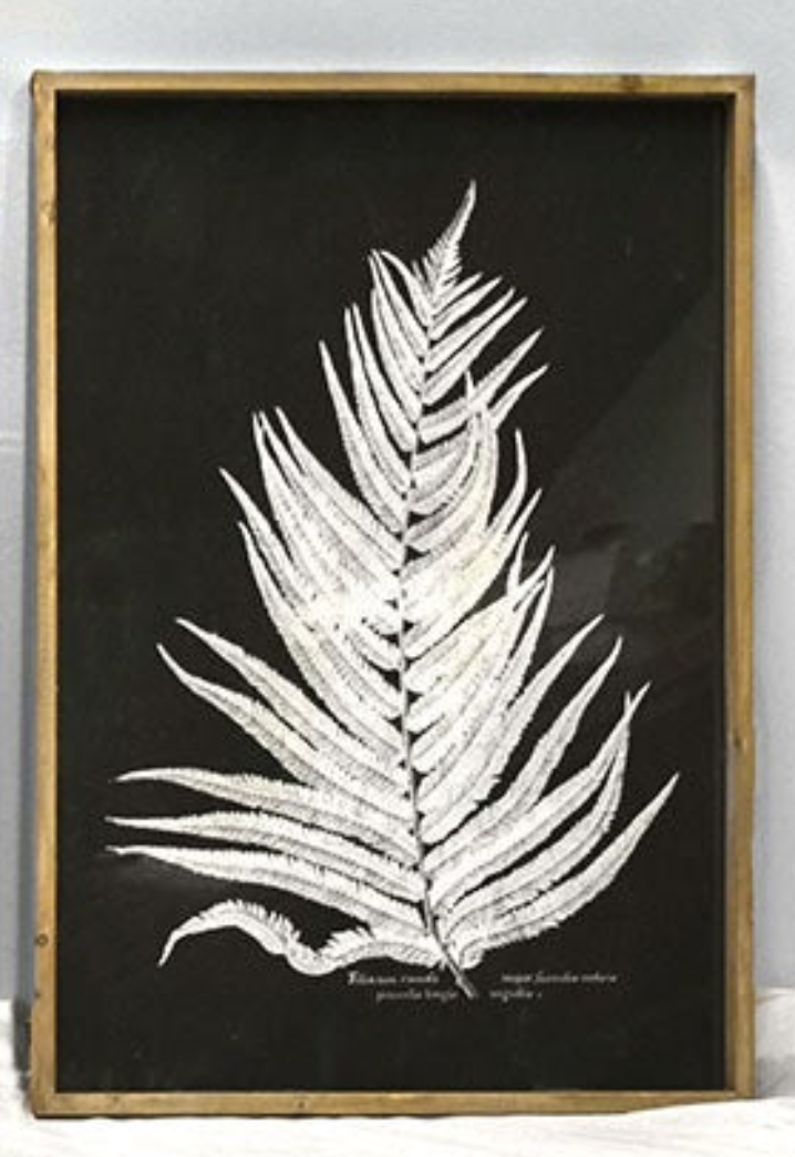 Fern Wood Wall Art,