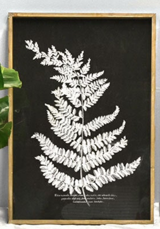 Fern Wood Wall Art