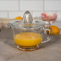 CJUICR Citrus Juicer
