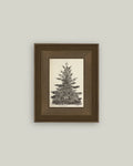 5x7 Vintage Pine Tree Art