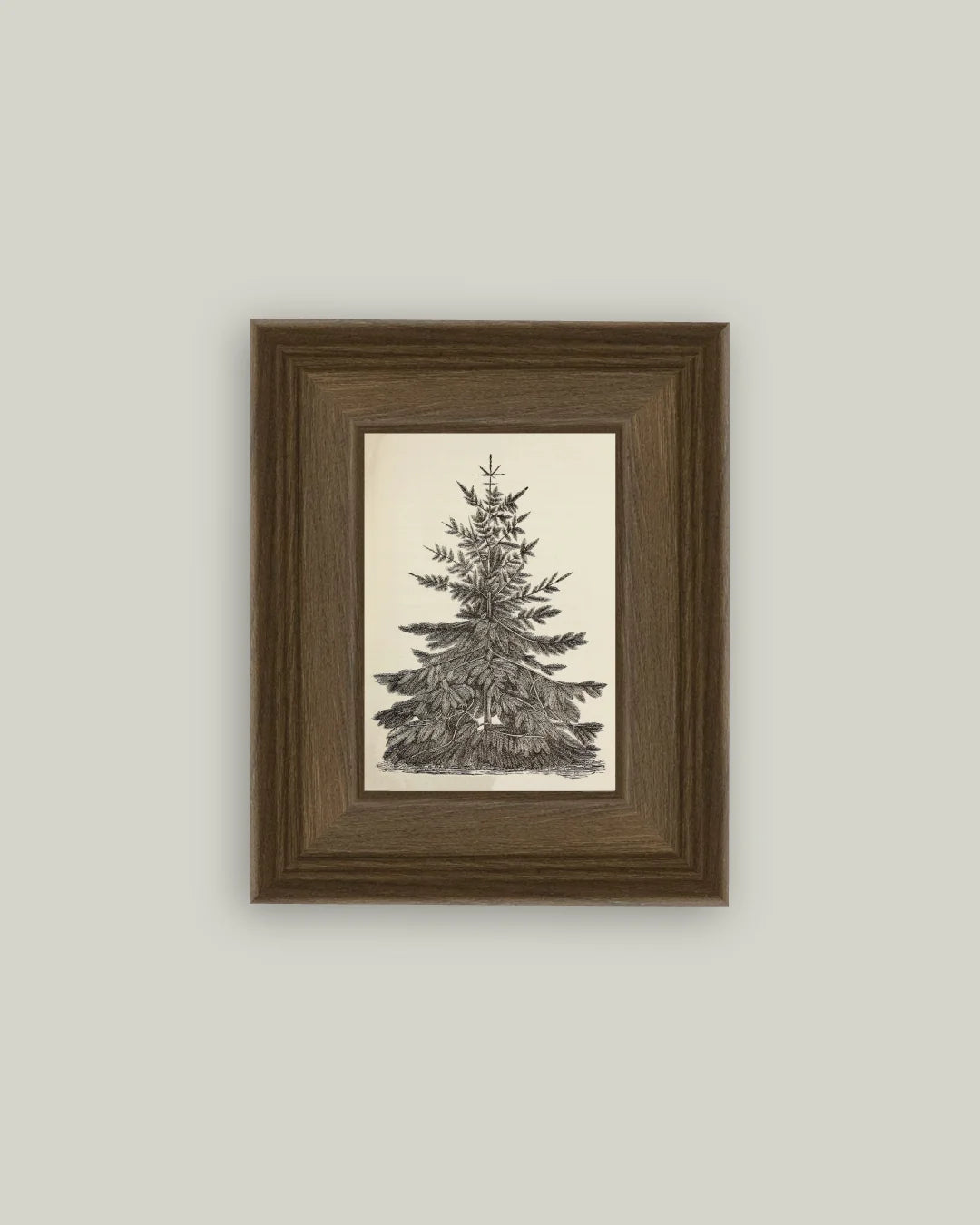 5x7 Vintage Pine Tree Art