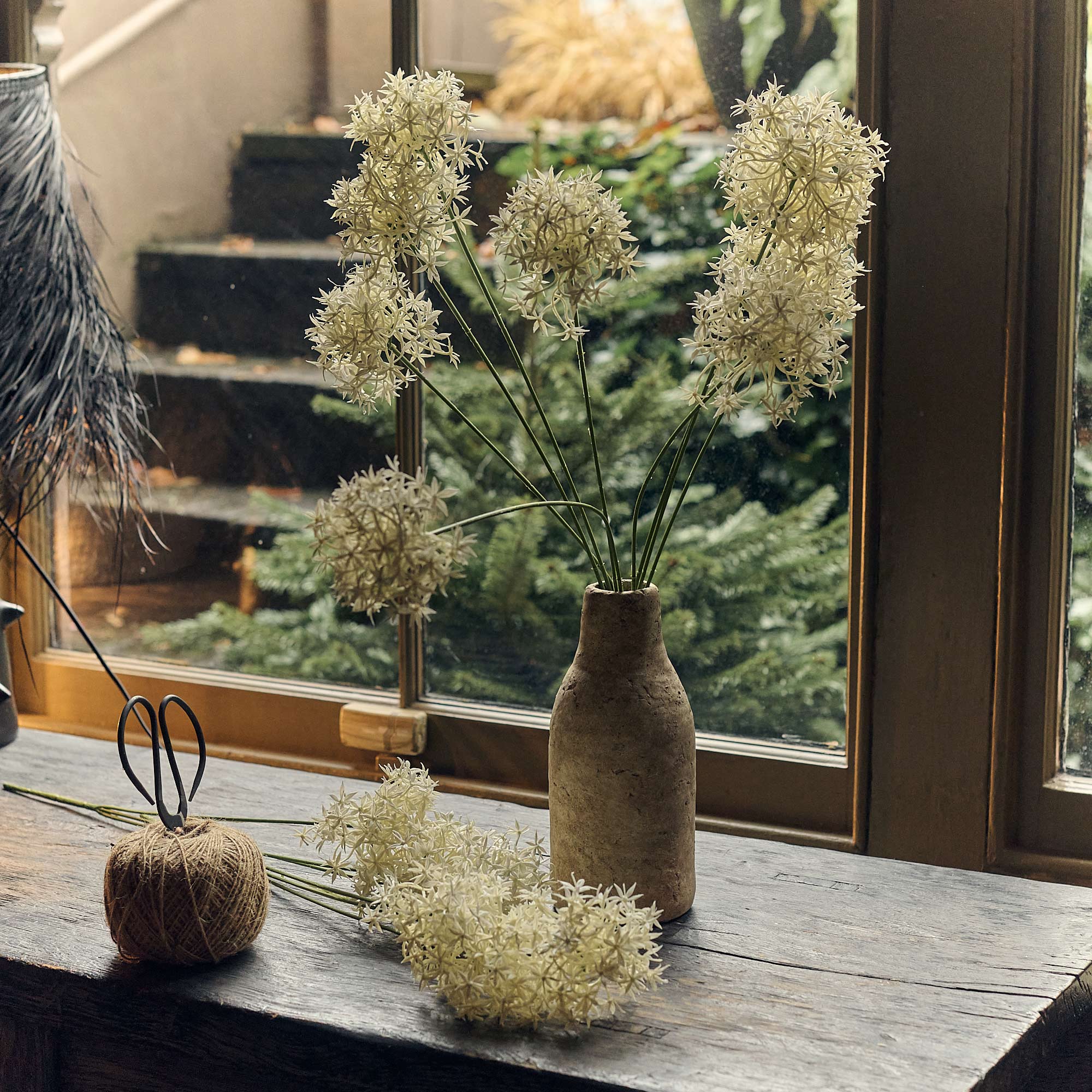 AA-H3-043 Allium Cream Bunch
