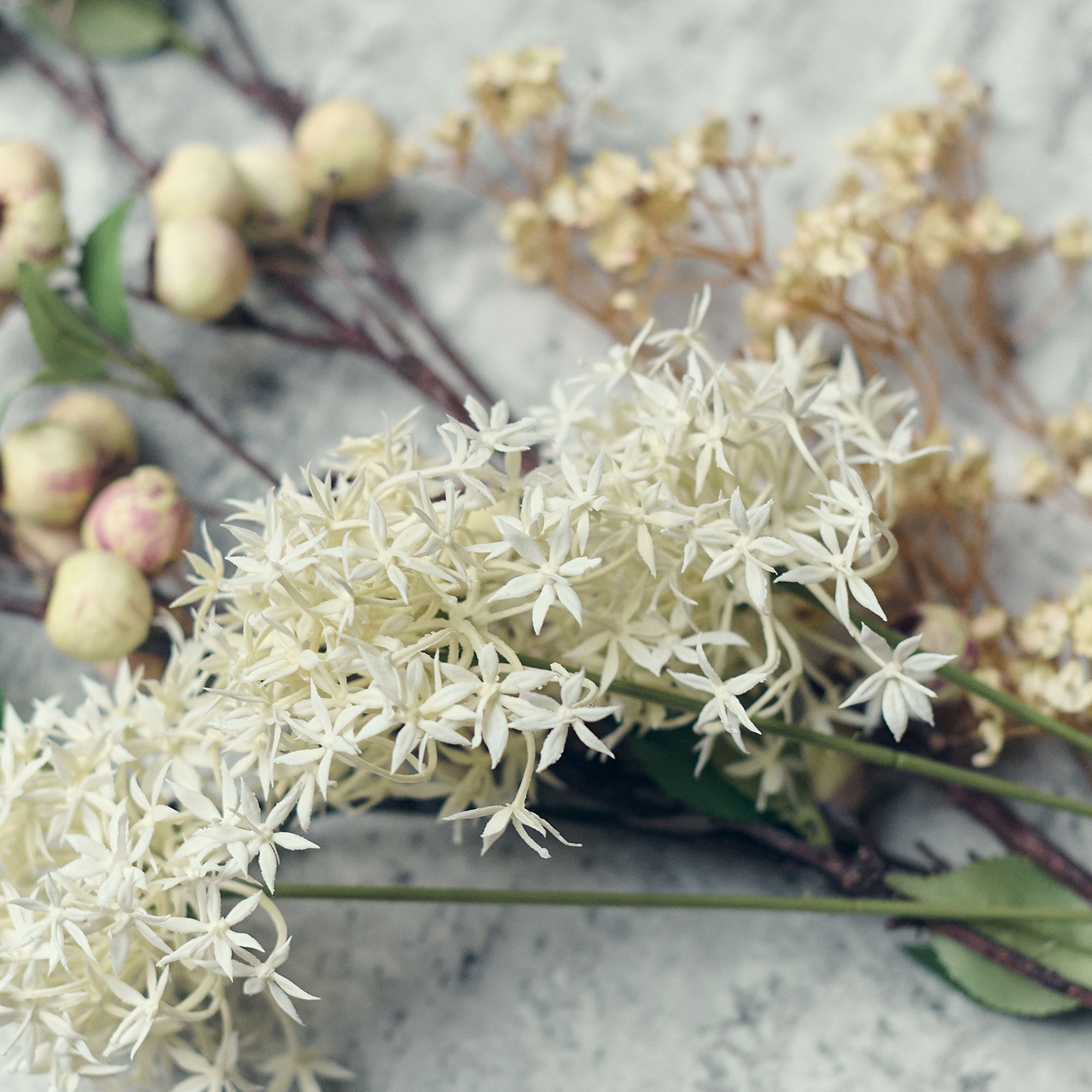 AA-H3-043 Allium Cream Bunch