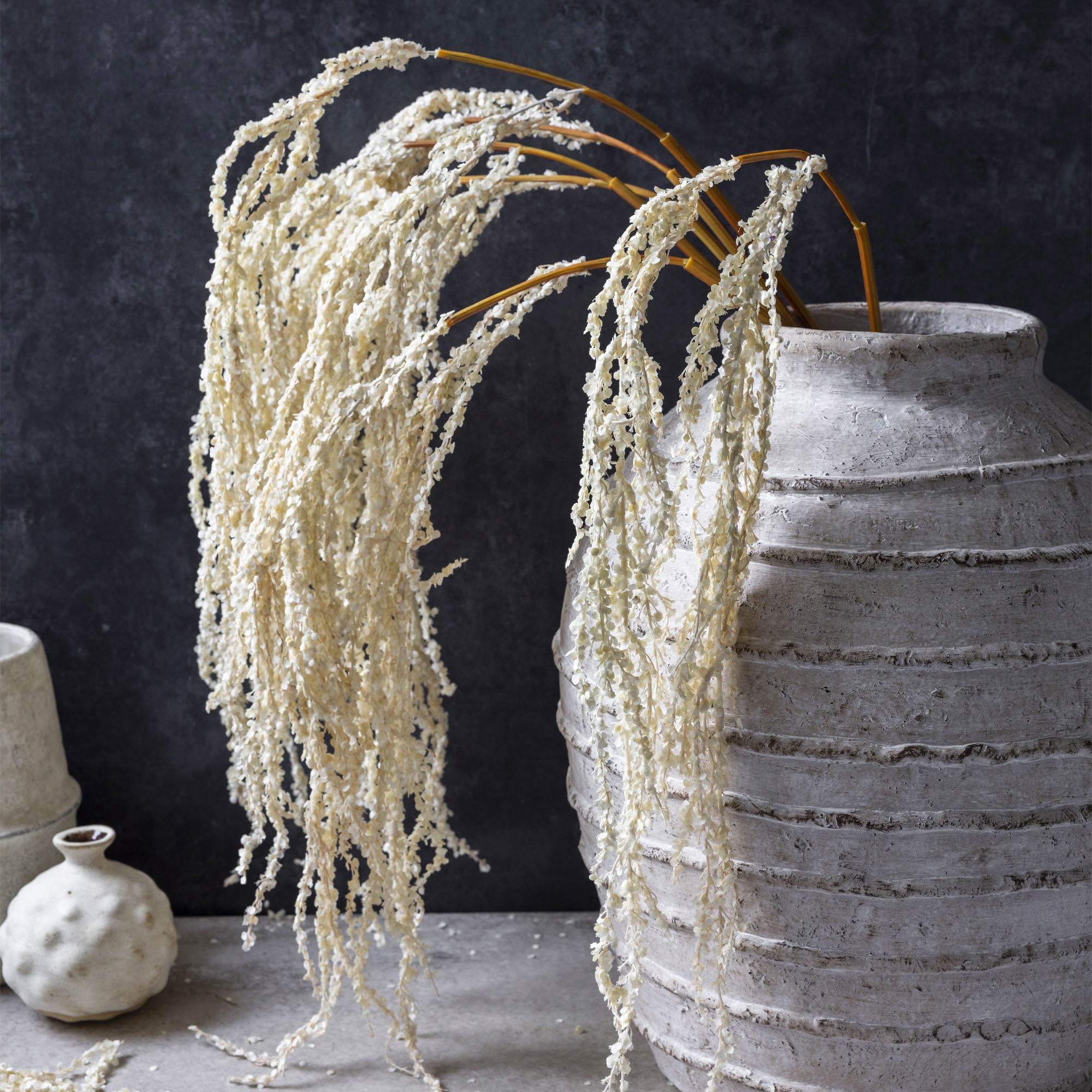 AA-L11-003 Amaranthus Cream Stem